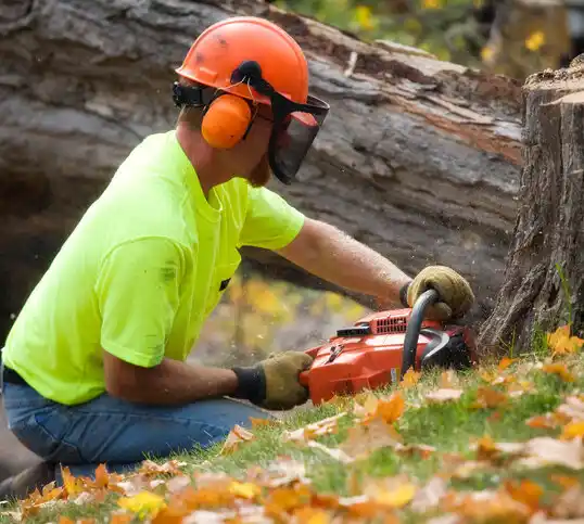 tree services Freeburg